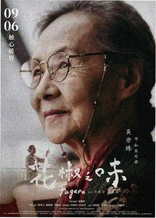 剧集改编动画档案卡封面示意
